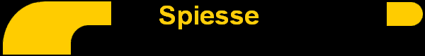 Spiesse 